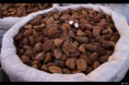 /album/galeria-de-fotos-mensagens/castanha-jpg/